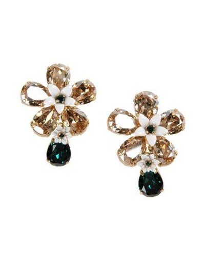 Shop Dolce & Gabbana Earrings In Gold