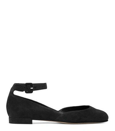 Shop Stuart Weitzman The Domain Flat In Black Suede