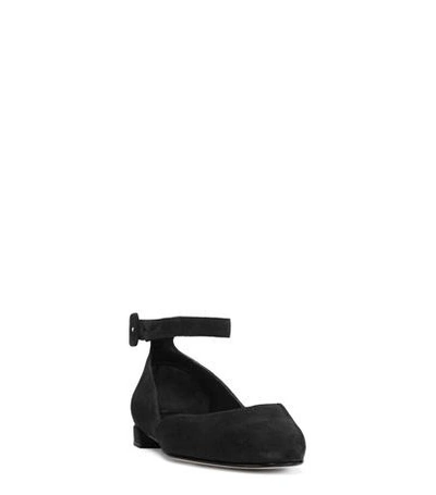 Shop Stuart Weitzman The Domain Flat In Black Suede