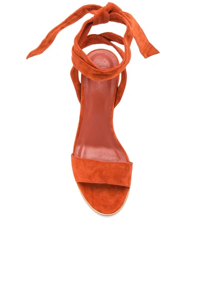Shop Joie Mamie Sandal In Burnt Orange.  In Burnt Ochre