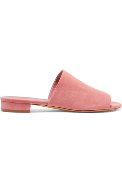 Shop Mansur Gavriel Suede Mules In Blush