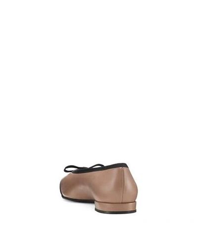Shop Stuart Weitzman The Capture Flat In Mouse Beige Nappa Leather