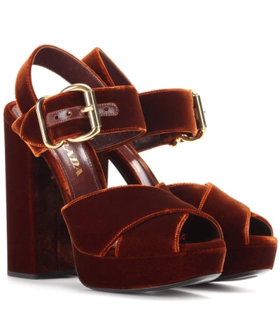 Shop Prada Velvet Platform Sandals In Brown