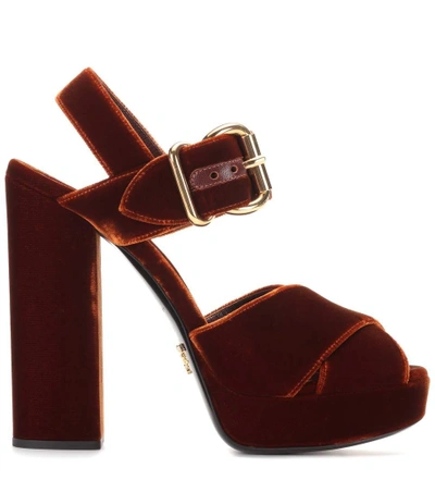 Shop Prada Velvet Platform Sandals In Brown