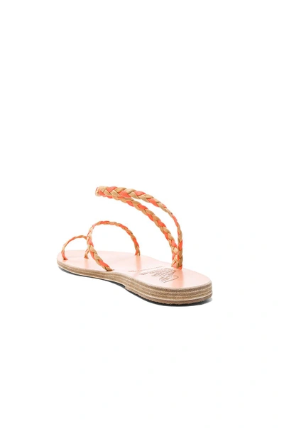 Shop Ancient Greek Sandals X Lemlem Leather Eleftheria Braids Sandals In Natural & Neon Orange
