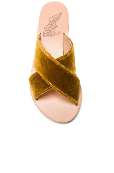 Shop Ancient Greek Sandals Velvet Thais Sandals In Mustard