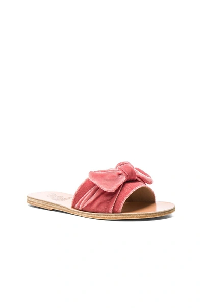 Shop Ancient Greek Sandals Velvet Taygete Bow Sandals In Dusty Pink