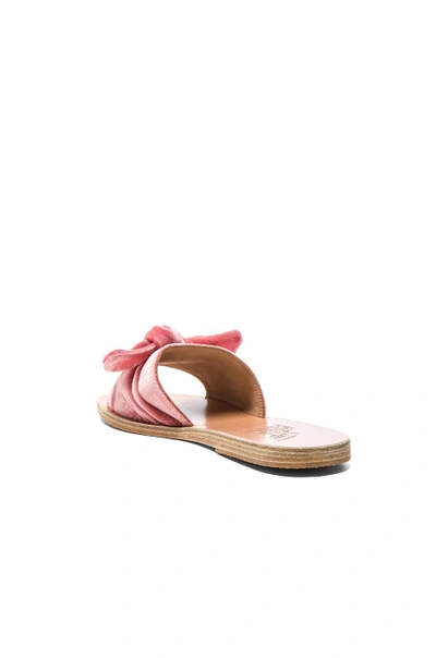 Shop Ancient Greek Sandals Velvet Taygete Bow Sandals In Dusty Pink