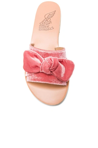 Shop Ancient Greek Sandals Velvet Taygete Bow Sandals In Dusty Pink