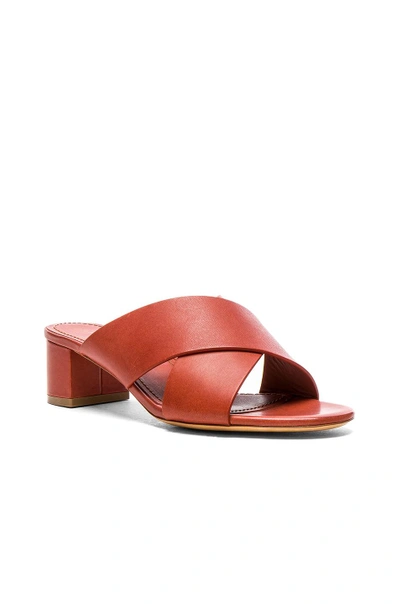 Shop Mansur Gavriel Leather 40mm X Strap Heels In Brown