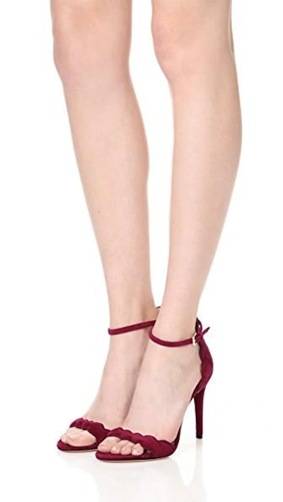 Shop Rachel Zoe Ava Sandals In Ruby Red