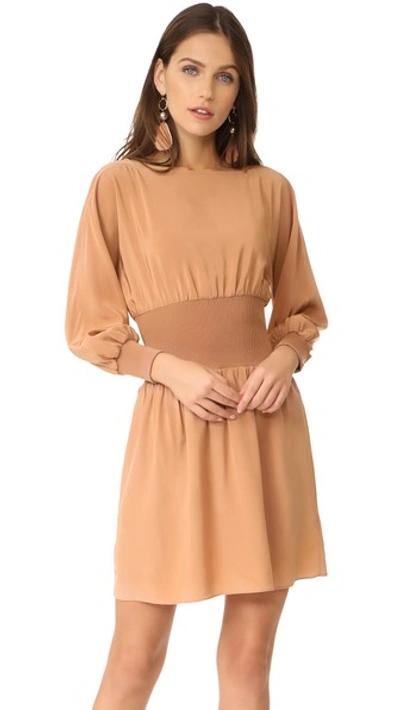 Tibi Sculpted Corset Dress In Desert Blush