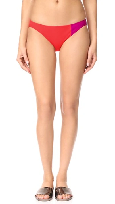 Shop Araks Enel Bikini Bottoms In Poppy/perse