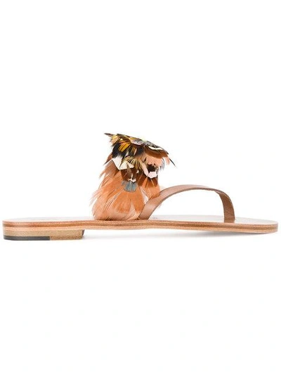 Shop Álvaro González Multi Feather Alberta Sandals In Brown