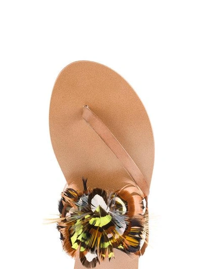 Shop Álvaro González Multi Feather Alberta Sandals In Brown