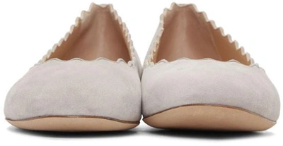 Shop Chloé Chloe Grey Suede Lauren Ballerina Flats In Ia813-elephant Grey