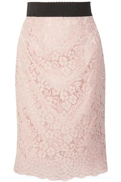 Shop Dolce & Gabbana Corded Cotton-blend Lace Midi Skirt In Pastel Pink