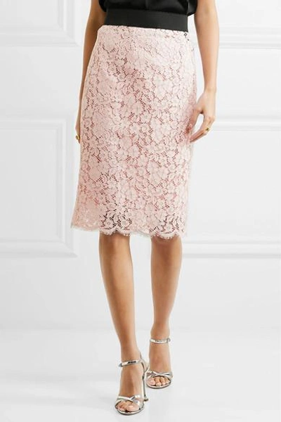 Shop Dolce & Gabbana Corded Cotton-blend Lace Midi Skirt In Pastel Pink