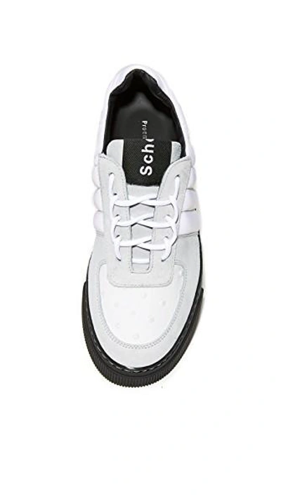 Shop Proenza Schouler Sneakers In White