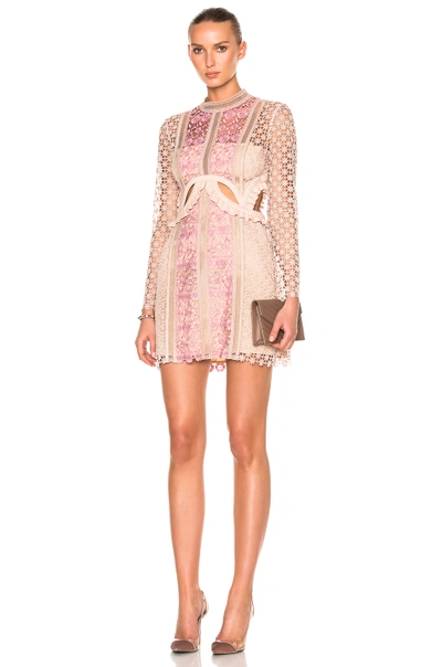 Self-portrait Payne Cutout Floral Lace Mini Dress In Florals,neutrals,pink  | ModeSens