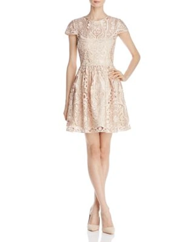 Shop Alice And Olivia Alice + Olivia Gracia Cap-sleeve Lace Dress In Nude Pink