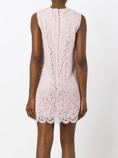 Shop Dolce & Gabbana Lace Fitted Dress In Pink