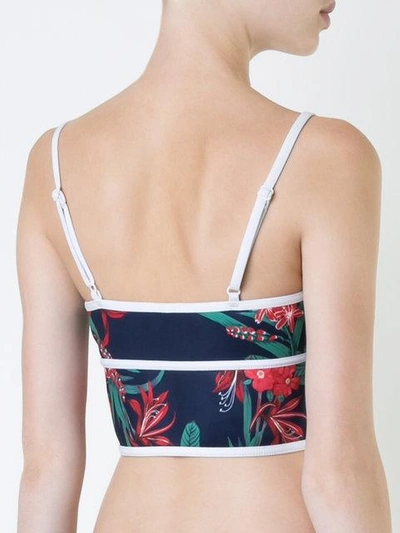 Shop Duskii Maui Bustier Bikini Top In Multicolour