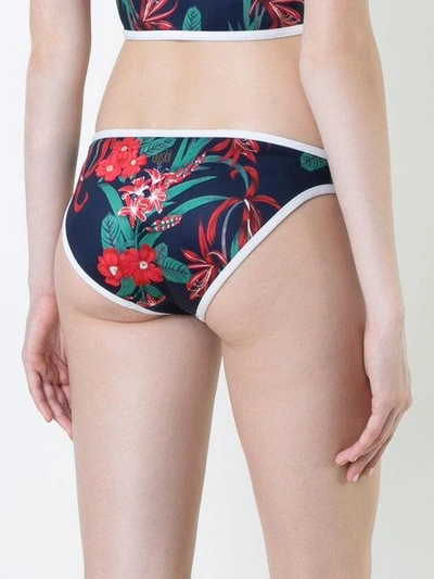 Shop Duskii Maui Regular Bikini Pants In Multicolour