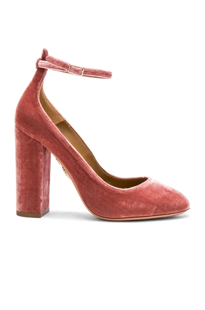 Aquazzura Velvet Alix Pumps In Antique Rose