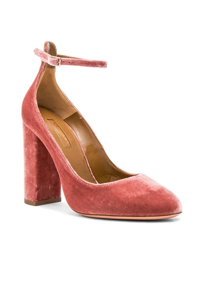 Shop Aquazzura Velvet Alix Pumps In Antique Rose