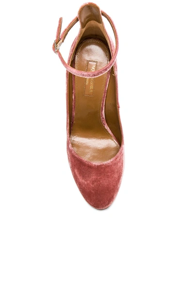 Shop Aquazzura Velvet Alix Pumps In Antique Rose