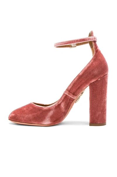 Shop Aquazzura Velvet Alix Pumps In Antique Rose