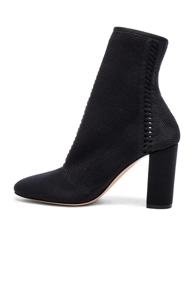 Shop Gianvito Rossi Knit Vires Block Heel Booties In Black