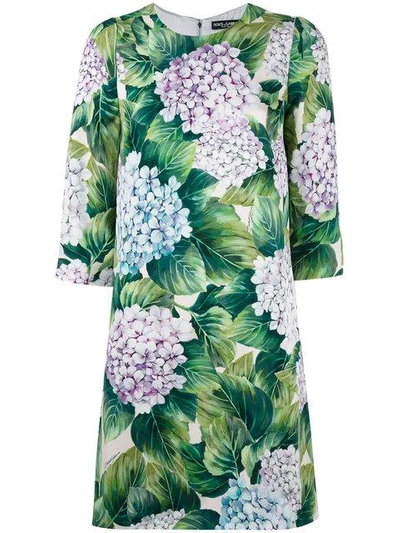 Shop Dolce & Gabbana Hydrangea Print Shift Dress