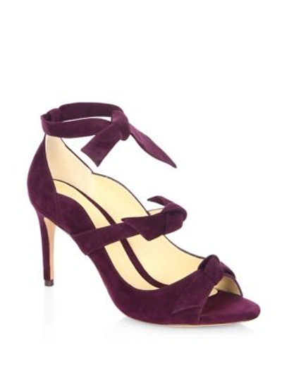 Shop Alexandre Birman Charlotte Suede Tie Wrap Pumps In Wine Berry