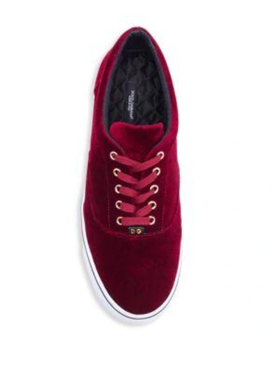 Shop Dolce & Gabbana Velvet Lace-up Sneakers In Dark Red