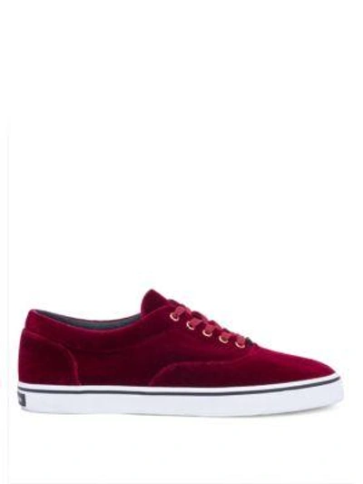 Shop Dolce & Gabbana Velvet Lace-up Sneakers In Dark Red