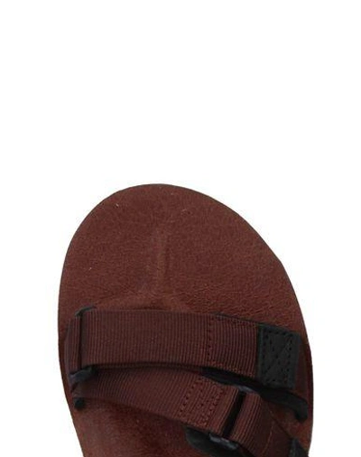 Shop Timberland Sandals In Dark Brown