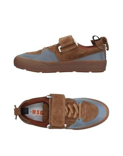 Msgm Sneakers In Camel
