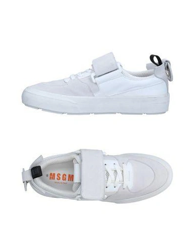 Msgm Trainers In White