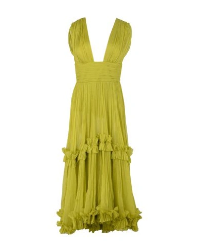 Maria Lucia Hohan Long Dress In Acid Green