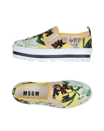 Shop Msgm Sneakers In Yellow