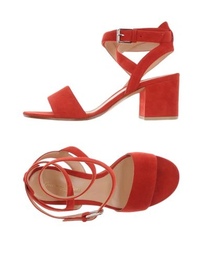 Gianvito Rossi Sandals In Red