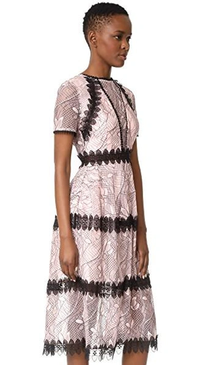 Nicholas iris lace clearance dress