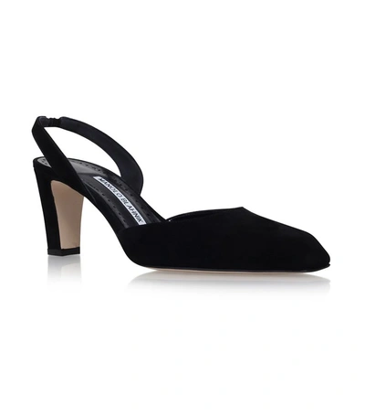 Manolo Blahnik Suede Praline Pumps 70 In Black