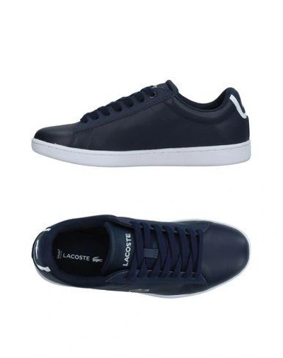 Shop Lacoste Sneakers In Dark Blue