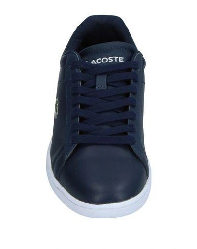 Shop Lacoste Sneakers In Dark Blue