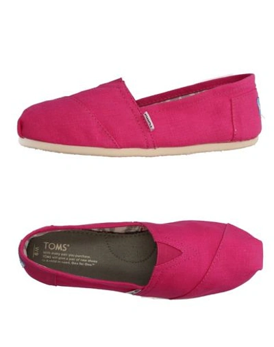 Toms Sneakers In Fuchsia