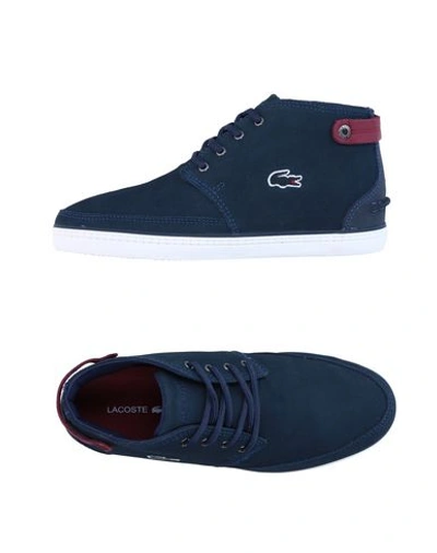 Lacoste Sneakers In Dark Blue
