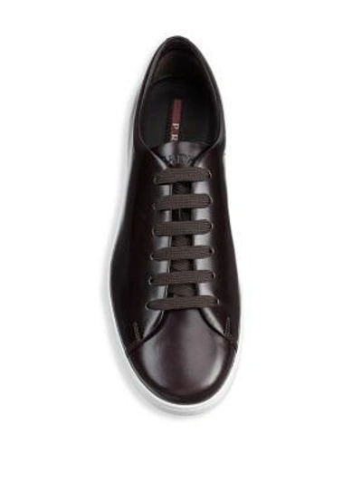Shop Prada Leather Low-top Sneakers In Cordovan